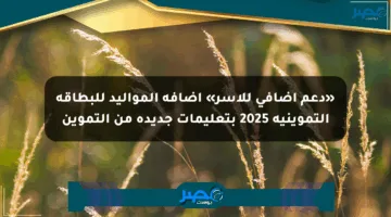 «دعم إضافي للأسر» إضافة المواليد للبطاقة التموينية 2025 بتعليمات جديدة من التموين
